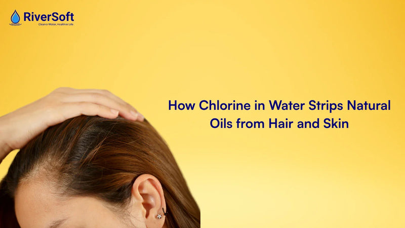How Chlorine in Water Strips Natural Oils from Hair and Skin