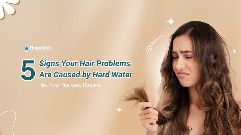 5 Signs Your Hair Problems Are Caused by Hard Water Not Your Haircare Routine