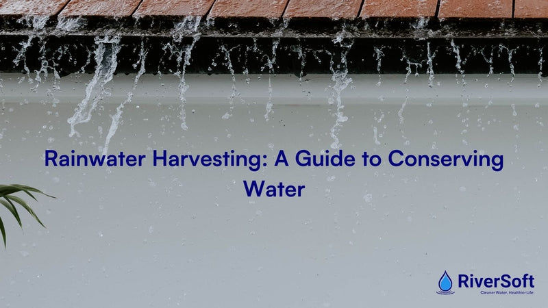 Rainwater Harvesting: A Guide to Conserving Water