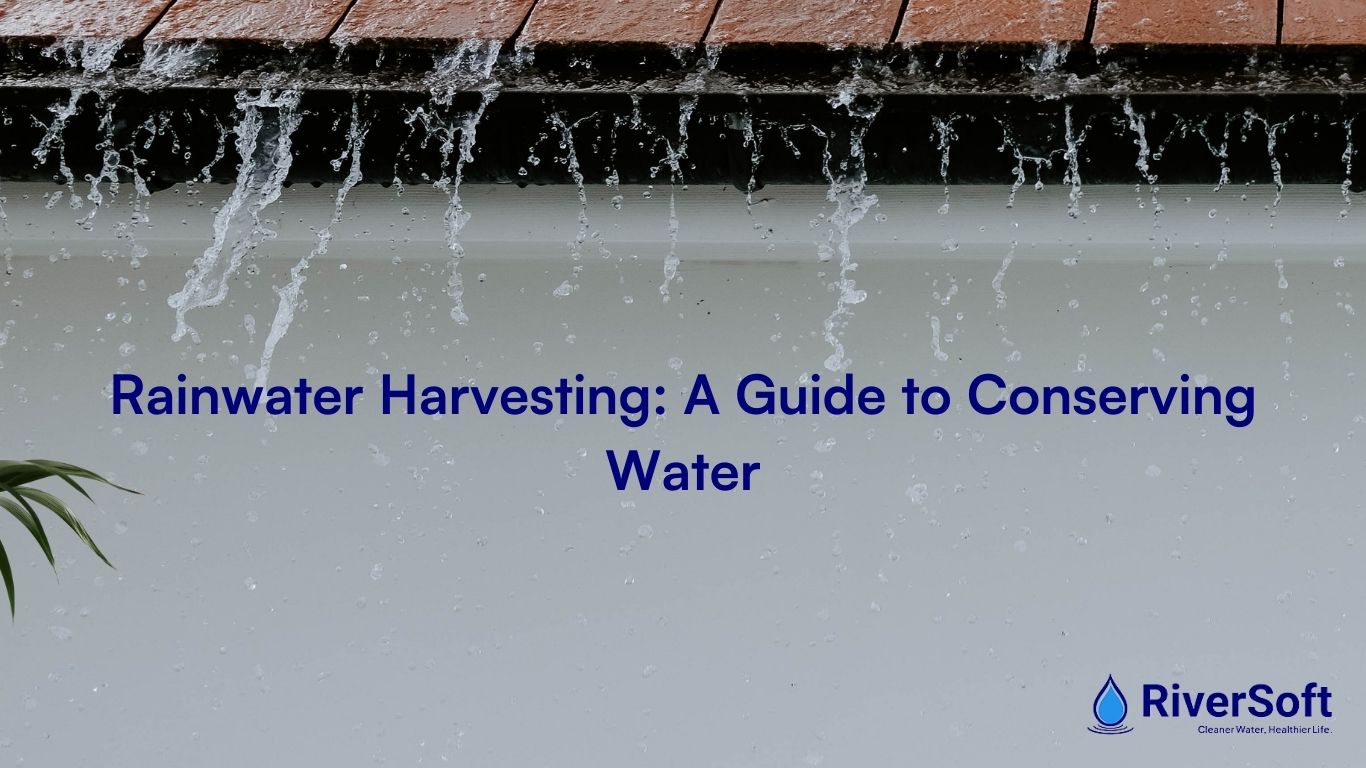 Rainwater Harvesting: A Guide to Conserving Water
