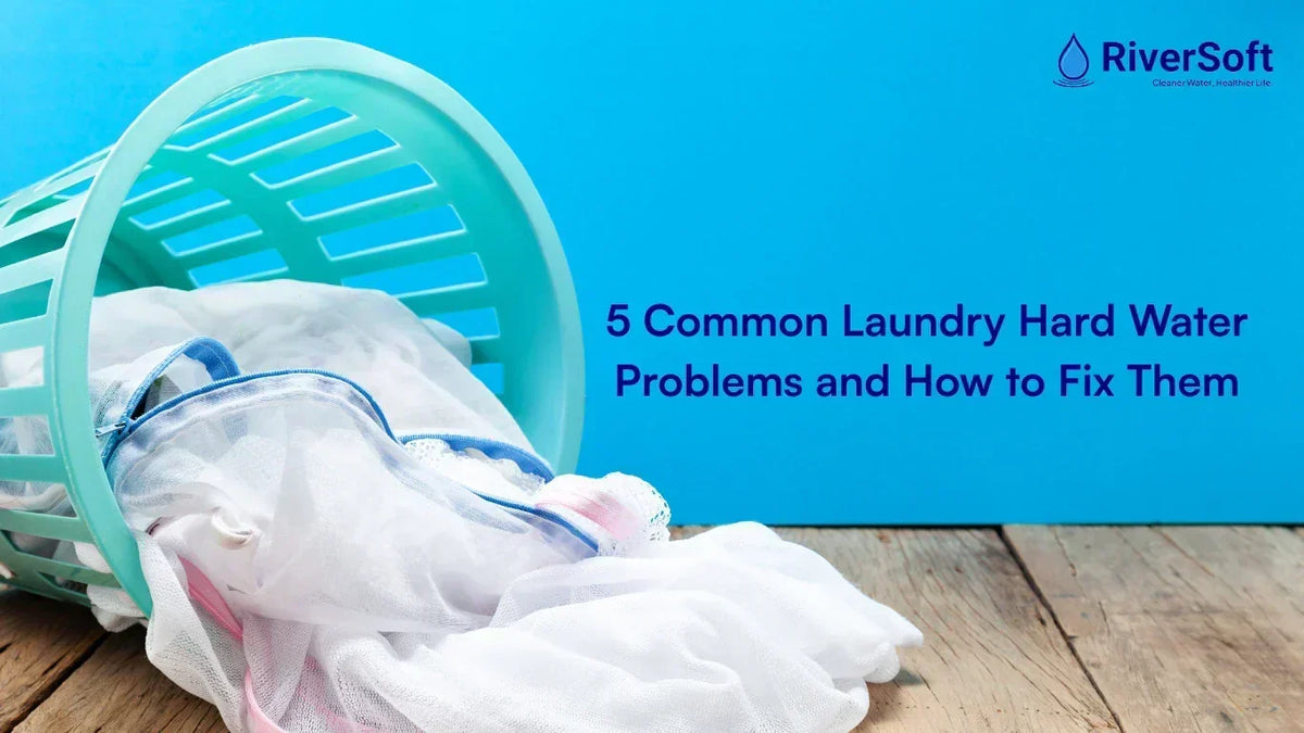 Laundry Paperwork Problem 5 Common Laundry Problems from Hard Water and How to Fix Them