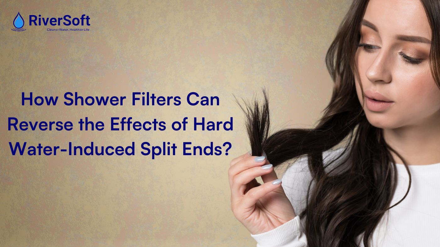 How Shower Filters Can Reverse the Effects of Hard Water-Induced Split Ends