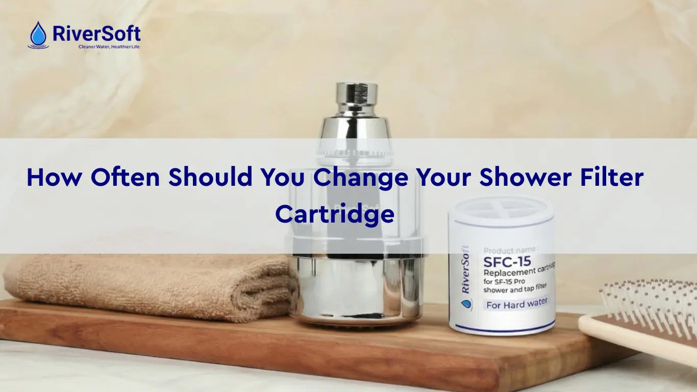 How Often Should You Replace Your Shower Filter Cartridge?