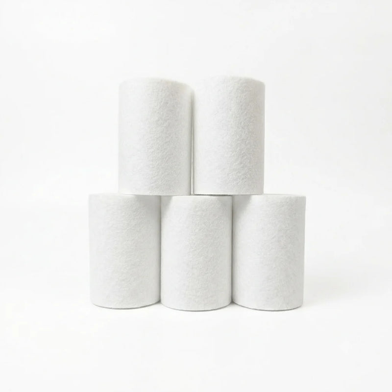 RiverSoft EB-01-C5 Replacement Cartridge for EB-01 Kitchen Tap Filter | Removes Mud, Dust, Rust & Sediments | Pack of 5