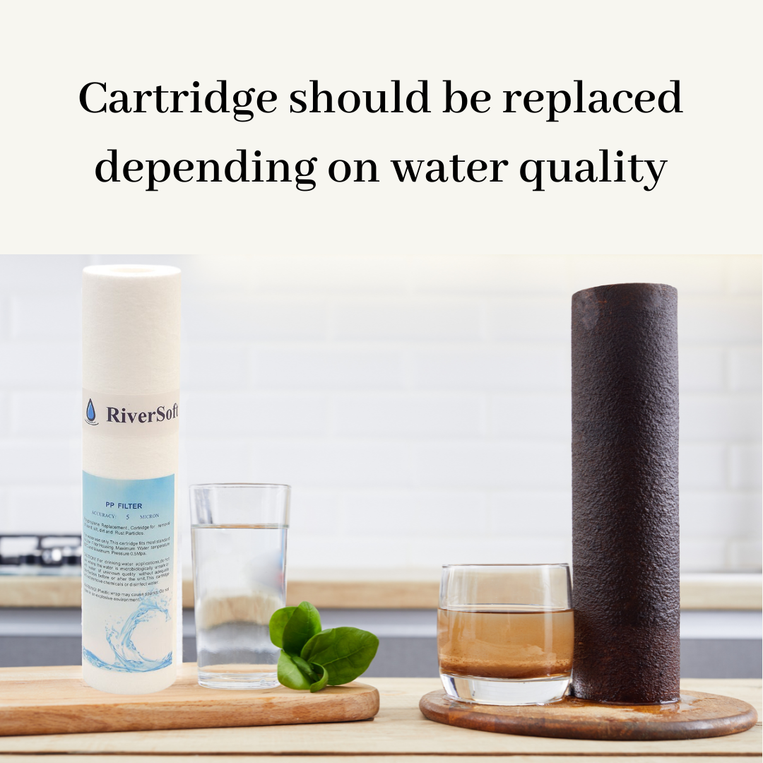 RiverSoft PreRO-10 Cartridge should be replaced depending on water quality